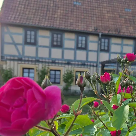 Apartment Am Boselgarten Coswig (Saxony)