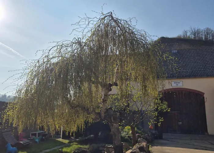 Am Boselgarten شقة