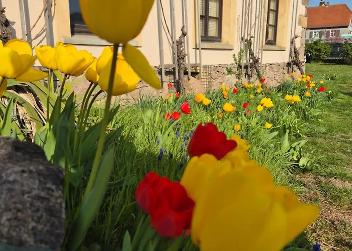 Am Boselgarten شقة *