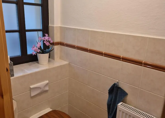 Am Boselgarten كوسفيج