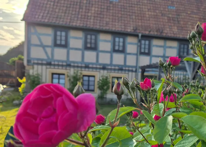 شقة Am Boselgarten كوسفيج