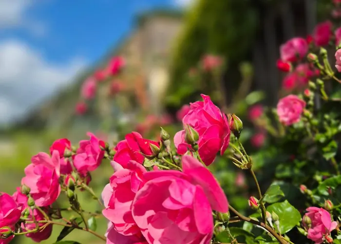 شقة Am Boselgarten *